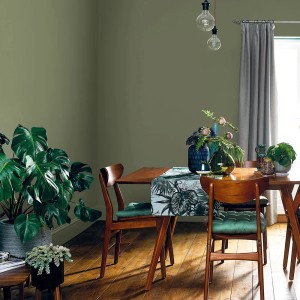 Salon z oliwkowozieloną farbą na ścianie. Kolorowa farba ścienna dla przytulnej atmosfery.