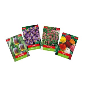 Zdjęcie różnych opakowań cebulek kwiatowych, w tym krokusów i szachownic.