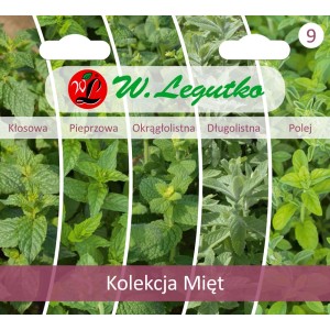 Opakowanie nasion z różnymi odmianami mięty od W. Legutko.