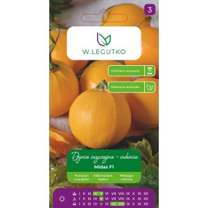 Legutko Dynia zwyczajna Midas 3g