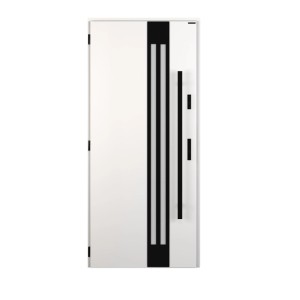 Wiśniowski Drzwi zewnętrzne Tornado Lustro pochwyt White 80L