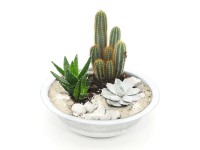 Rośliny mix w misie cynkowanej 30 cm