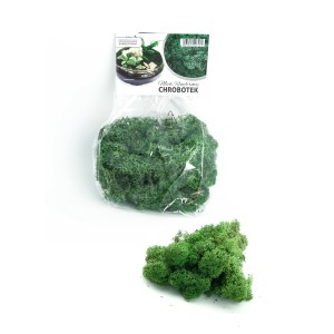 t.b.t. Mech w torebce, idealny do lasu w szkle i dekoracji.