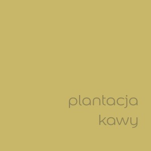 Farba do ścian t.b.t. w kolorze złoto-brązowym. Kolorowe farby do ścian.