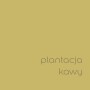 Farba do ścian t.b.t. w kolorze złoto-brązowym. Kolorowe farby do ścian.