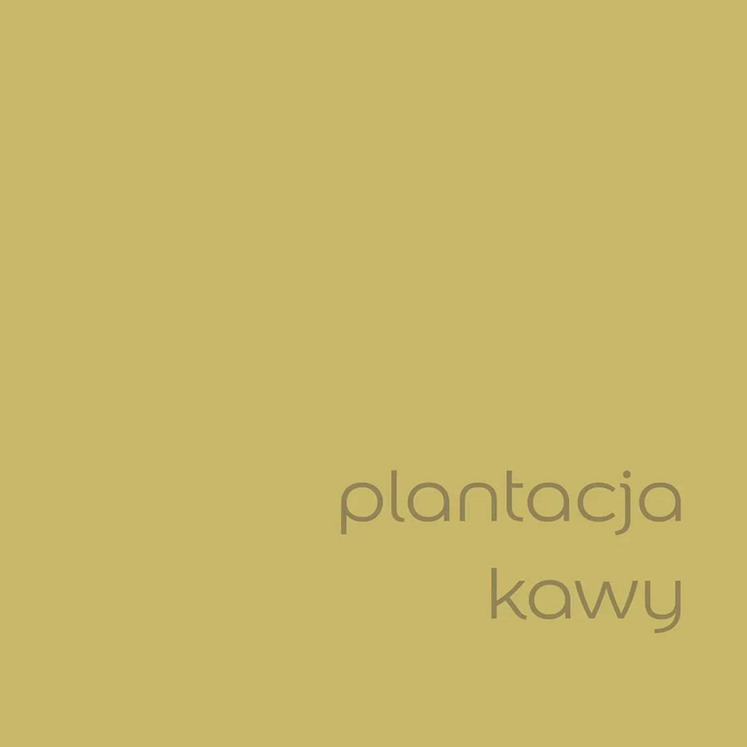 Farba do ścian t.b.t. w kolorze złoto-brązowym. Kolorowe farby do ścian.