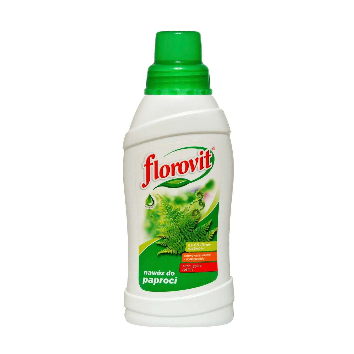 Florovit Nawóz do paproci 550 g.