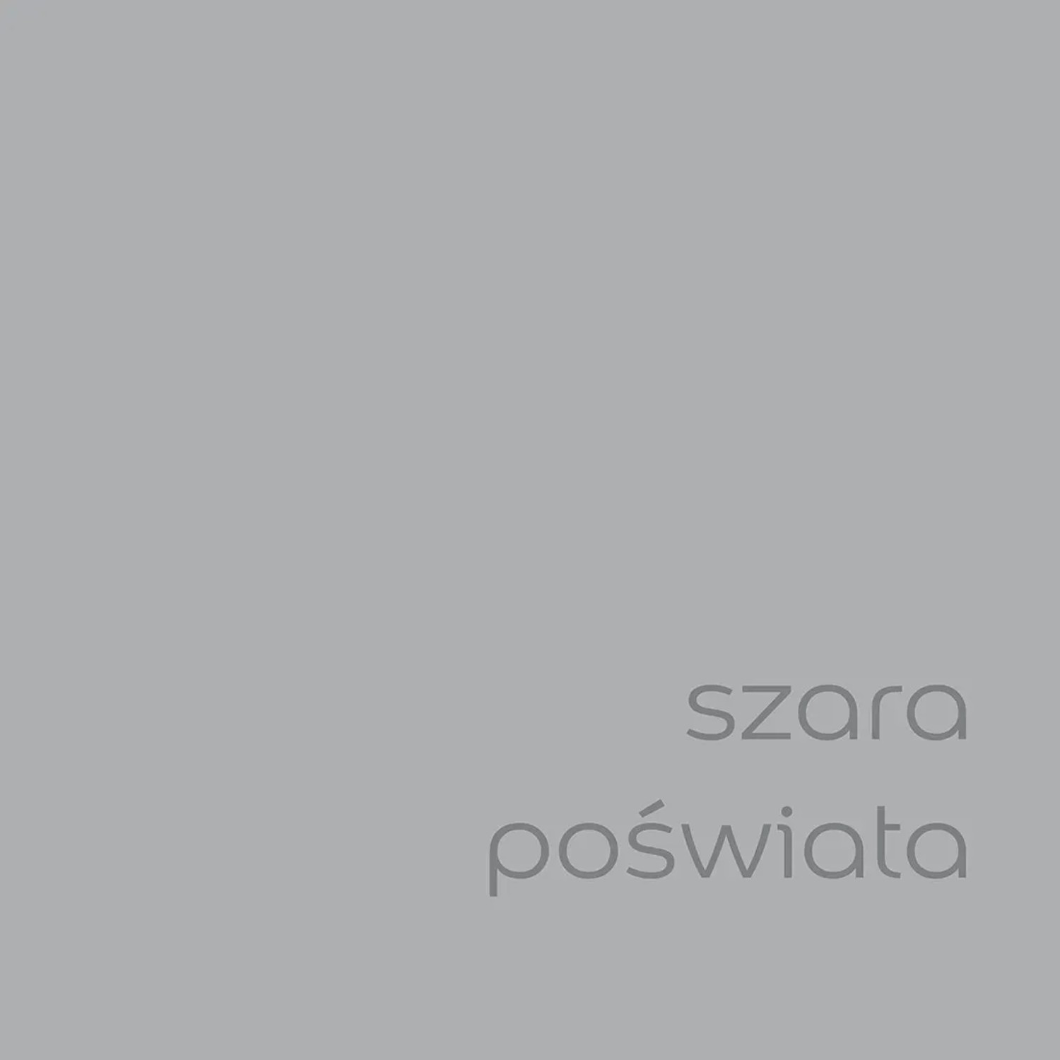 Próbka koloru farby do ścian t.b.t. w odcieniu szarym.