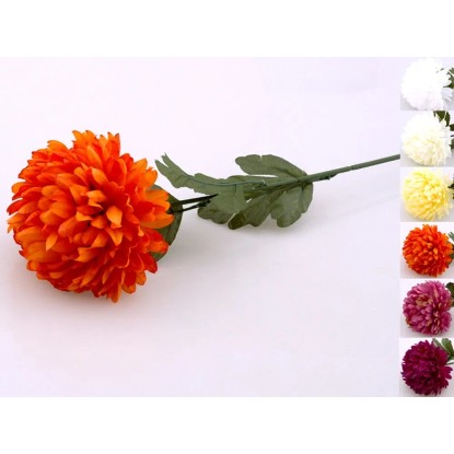 Chryzantema pojedyncza 73 cm mix kolorów