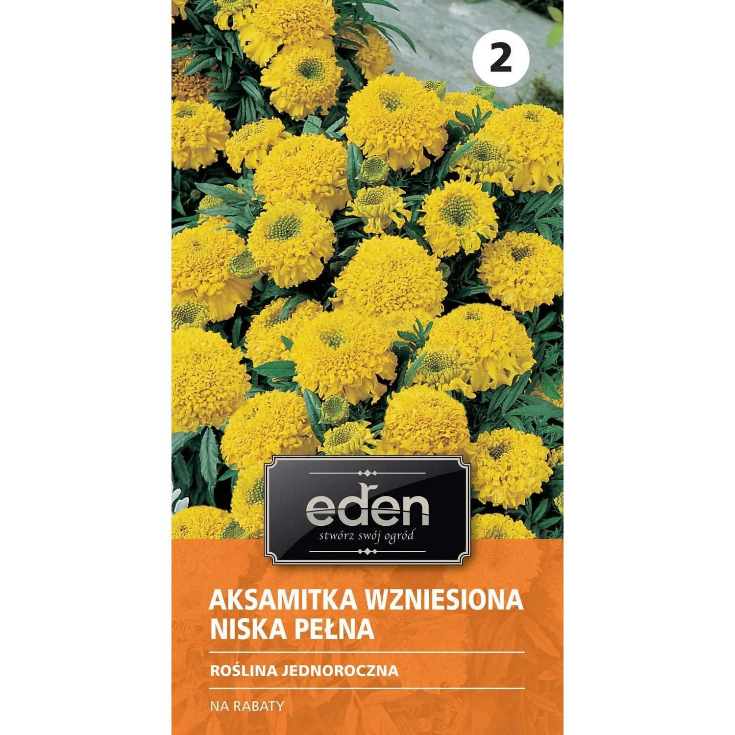 Aksamitka wzniesiona żółta Cupido - 0,5 g