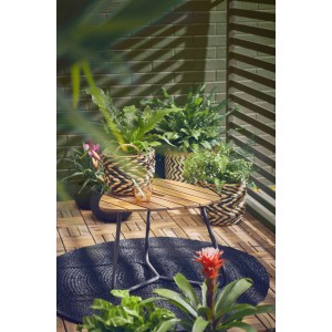 Scena ze stołem, dywanem i różnymi doniczkami na zioła. Dekoracyjny projekt na balkon lub taras.