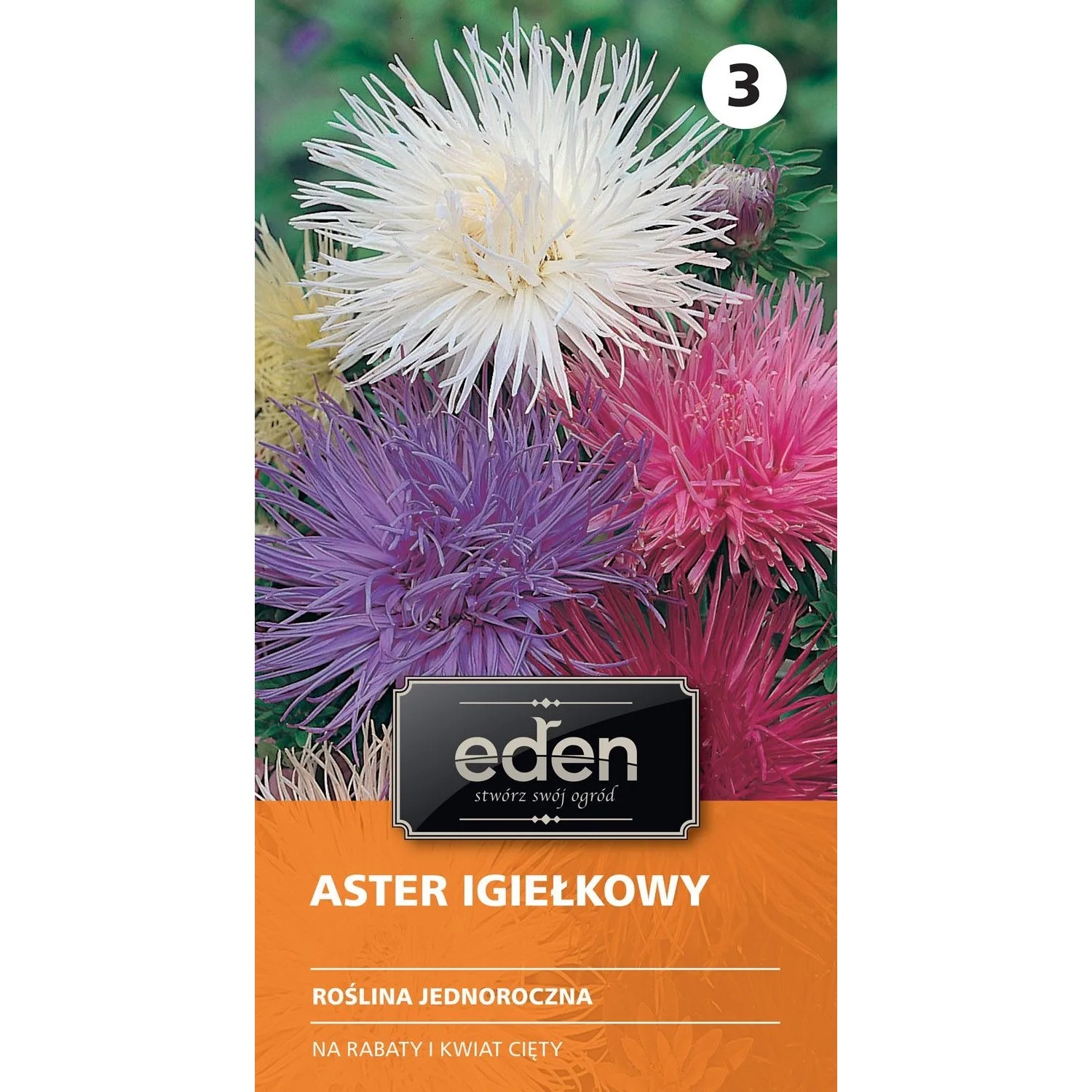 Aster chiński igiełkowy mieszanka - 1 g