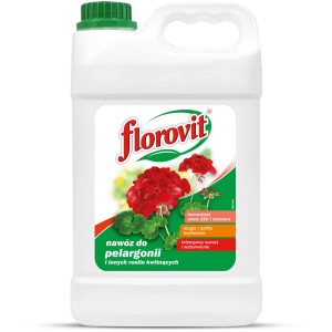 Kanister nawozu do pelargonii Florovit dla obfitego kwitnienia.