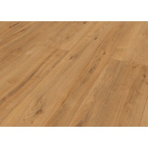 Classen Panel podłogowy Dąb Honey 8 mm AC4