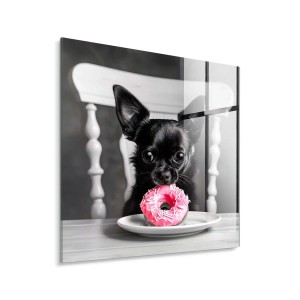 STYLER Obraz Glasspic CHIHUAHUA GL503 30 x 30 cm