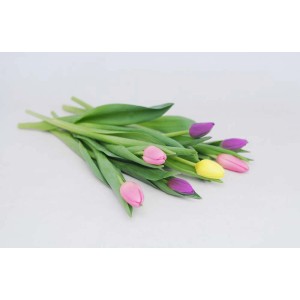 Kolorowy bukiet t.b.t. z tulipanami w kolorze fioletowym, żółtym i różowym.