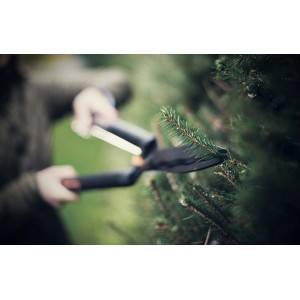 Sekator do żywopłotu Fiskars SingleStep HS22 w akcji podczas cięcia żywopłotu.