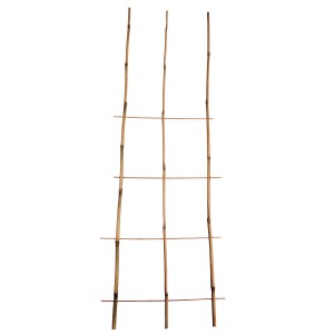 Bambusowa podpórka do roślin ogrodowych, idealna dla roślin pnących.