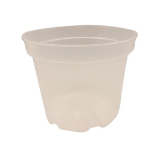 Przezroczysta doniczka t.b.t. do roślin domowych i ogrodowych.