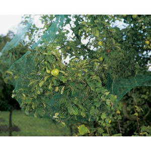 Zielona siatka ochronna na ptaki 8x8m rozciągnięta nad drzewem owocowym, chroni owoce.