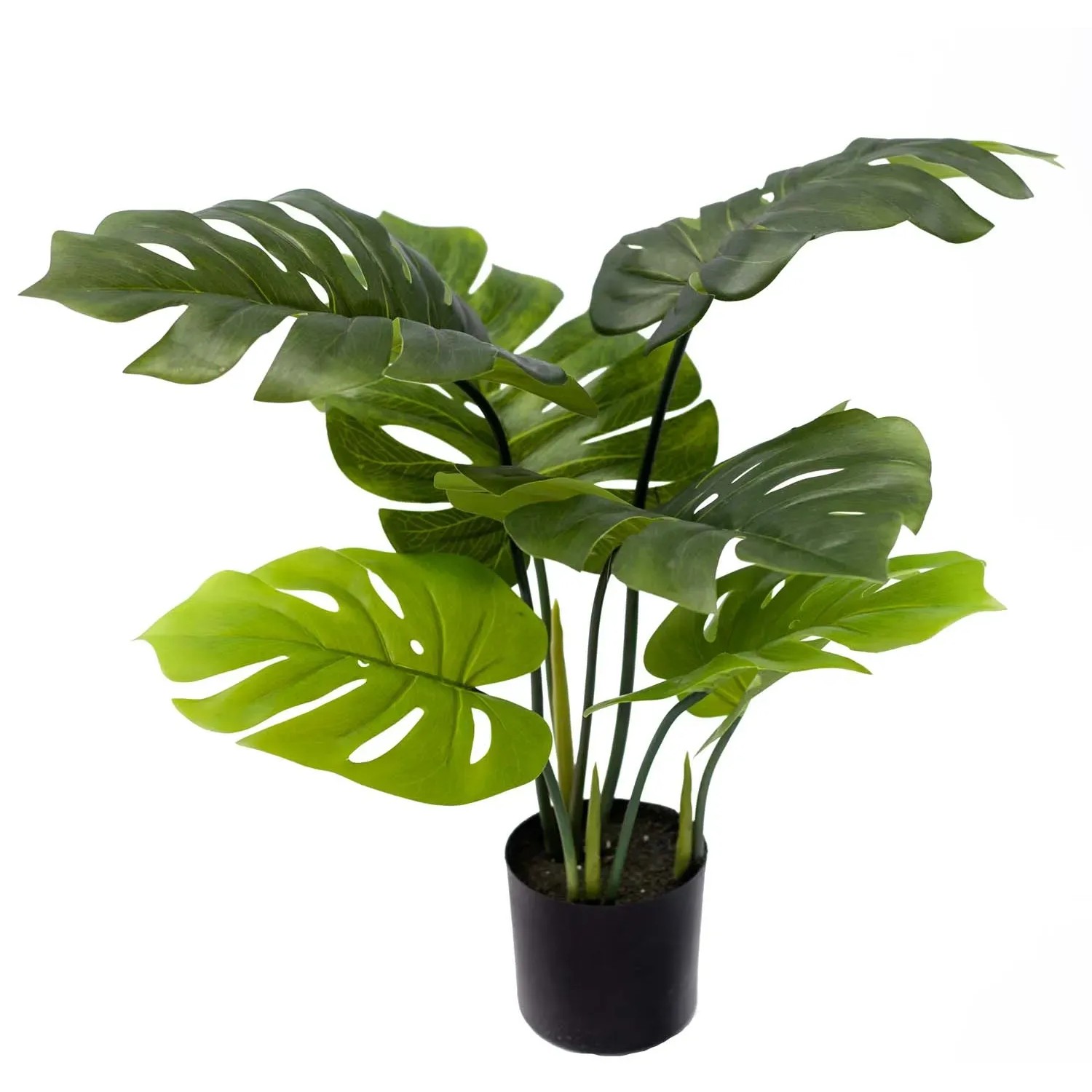 Monstera sztuczna - wys. 70 cm