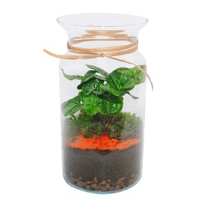 Kompozycja roślin zielonych w szklanym słoju