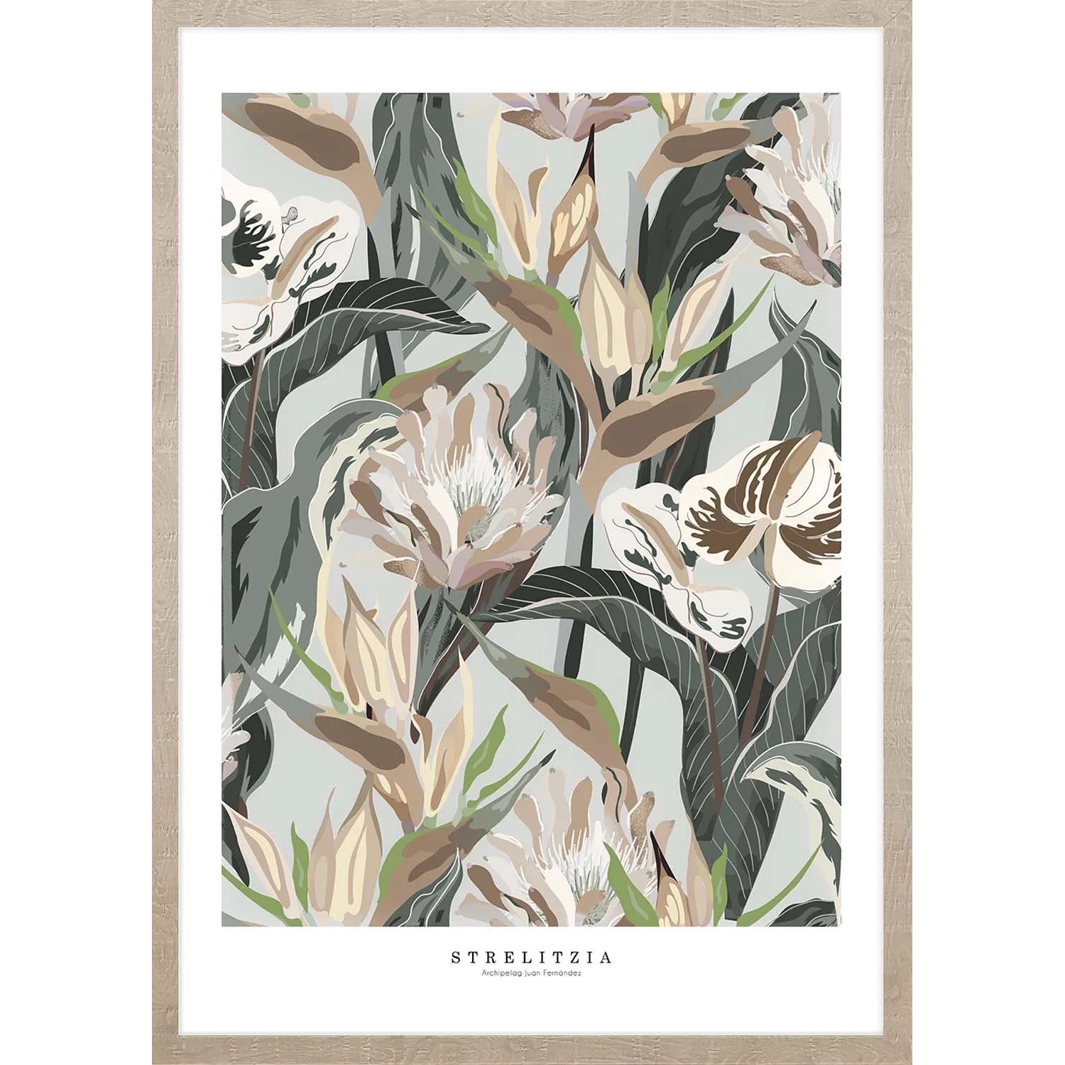 ARS LONGA Obraz RETRO STRELITZIA 53 x 73 cm