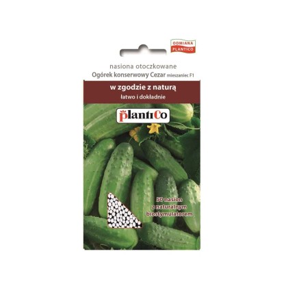 Ogórek Cezar otoczkowana - 50 szt.
