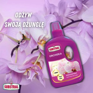 Nawóz Substral Orchidea do storczyków i roślin doniczkowych.