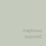 Próbka koloru farby do ścian t.b.t. w miętowej szarości.