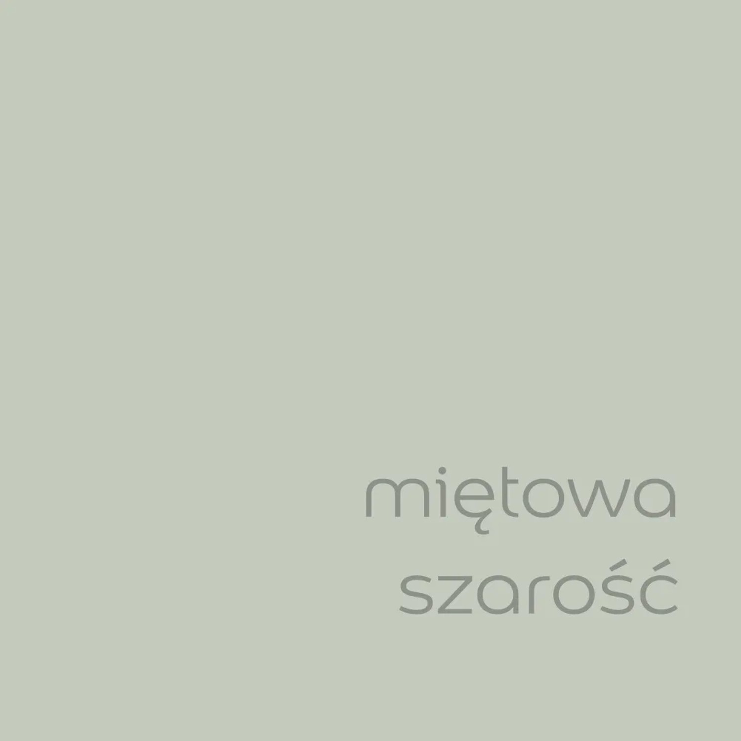 Próbka koloru farby do ścian t.b.t. w miętowej szarości.