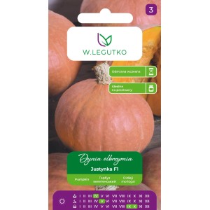 Legutko Dynia olbrzymia Justynka 4g