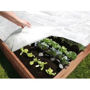Biała agrowłóknina 10 m x 1,5 m chroni warzywa w grządce.
