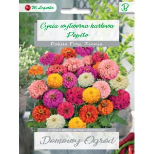 Opakowanie nasion cynii 'Pepito' z kolorowymi kwiatami cynii. Nasiona warzyw do ogrodu.