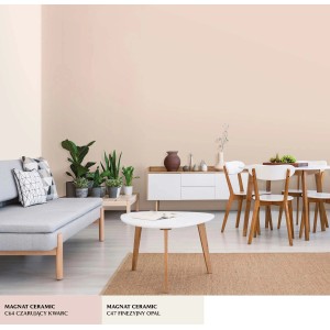 Pokój dzienny z farbami ściennymi w kolorze beżowym i różowym, pomalowany Kolorowe farby do ścian.