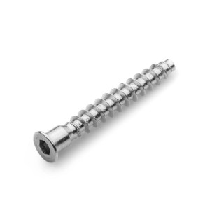 Srebrna śruba meblowa t.b.t. z gniazdem sześciokątnym.