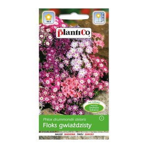 Opakowanie nasion floksa gwiaździstego, kwitnące kwiaty w odcieniach różu i lilii.