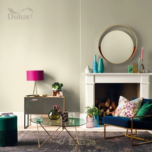 Salon z farbą do ścian t.b.t. firmy Dulux, meblami i elementami dekoracyjnymi.