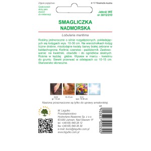 Opakowanie nasion smagliczki nadmorskiej 't.b.t.'. Idealne na skalniaki i rabaty.