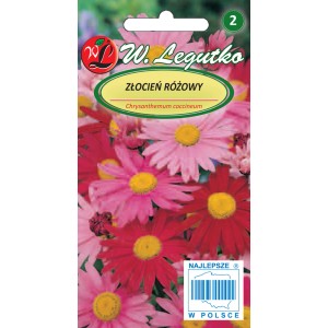 Opakowanie nasion cynii różowej (Chrysanthemum coccineum) do kolorowych rabat kwiatowych.