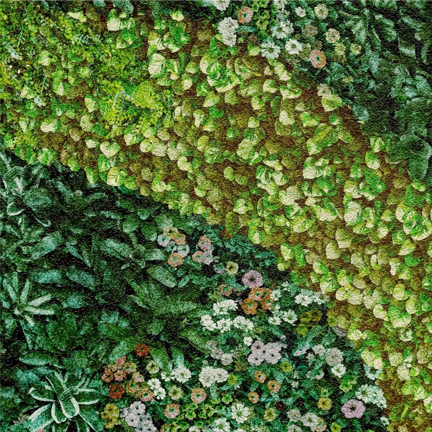 Dekor Gresowy Buxus Trawnik 3/8 60 x 60 cm