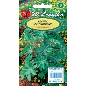 Opakowanie nasion rącznika pospolitego (Ricinus communis) rośliny ozdobnej o zielonych liściach.