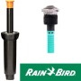 Zraszacz Rain Bird 1804 z dyszą R-VAN-LCS  - 1,2x4,3/1,8x4,9 m