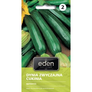 Dynia zwyczajna cukinia Nefertiti - 2 g