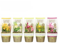 Storczyk ogrodowy (Garden Orchid) mix don. 12 cm