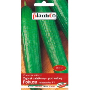 Opakowanie nasion ogórka sałatkowego 'Pokusa' Plantico, z zielonymi ogórkami.