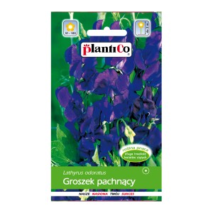 Opakowanie nasion groszku pachnącego (Lathyrus odoratus), fioletowe kwiaty. Pnącze do ogrodu i na rabaty.
