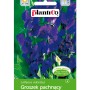 Opakowanie nasion groszku pachnącego (Lathyrus odoratus), fioletowe kwiaty. Pnącze do ogrodu i na rabaty.