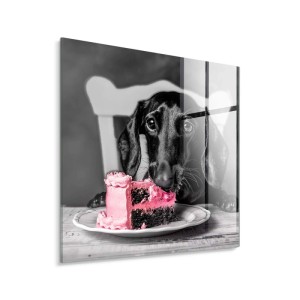 STYLER Obraz Glasspic DACHSHUND GL502 30 x 30 cm