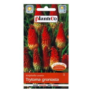 Opakowanie nasion Trytomy groniastej: czerwone i żółte kwiaty na rabaty i do donic.